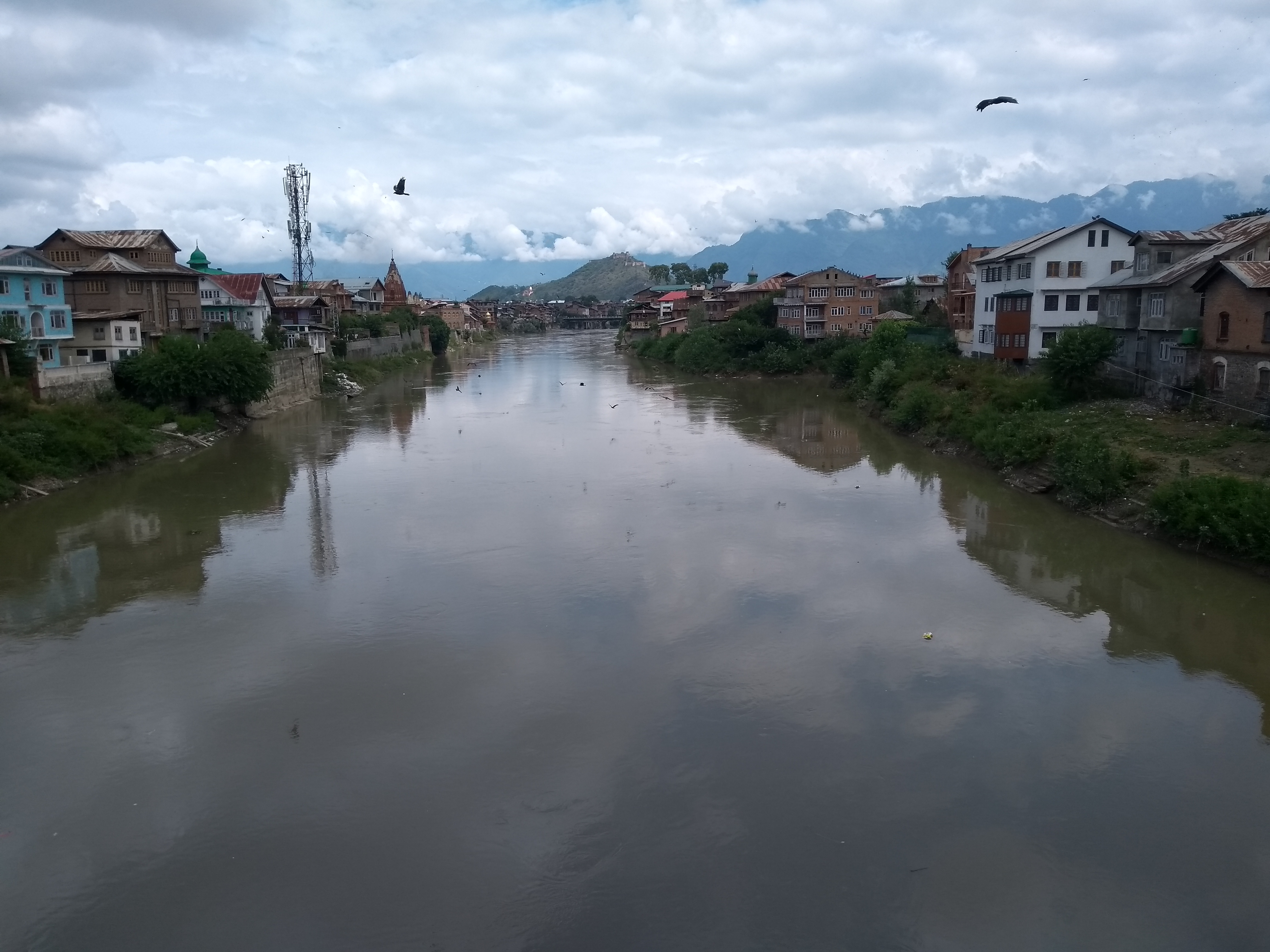 Kashmir Caged – fact-finding report on the ground situation