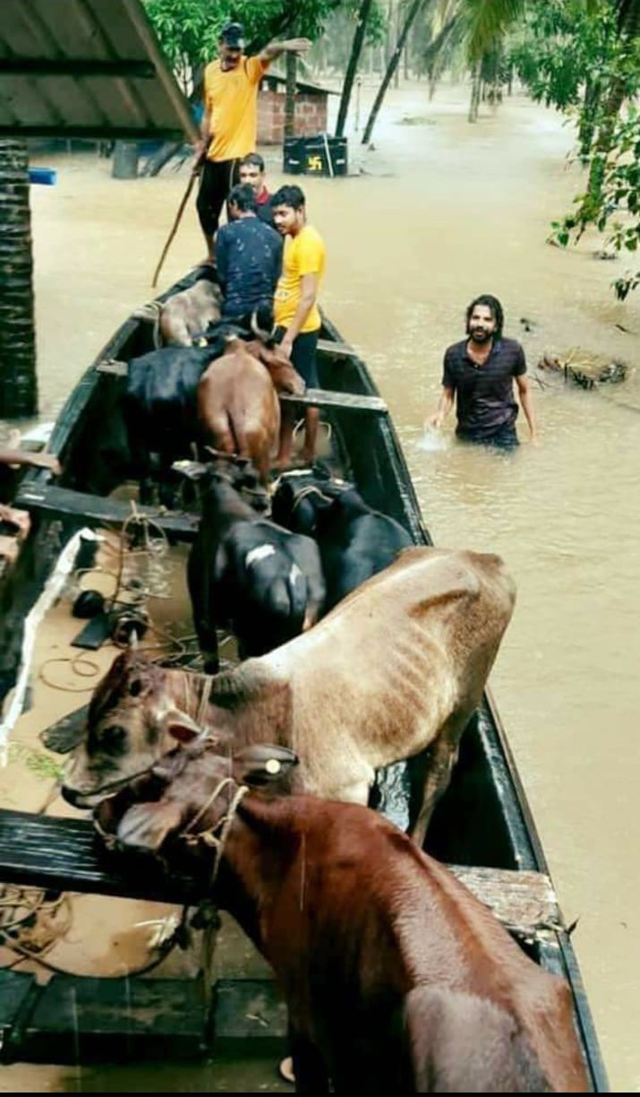 Tales of love from flood-hit Kerala