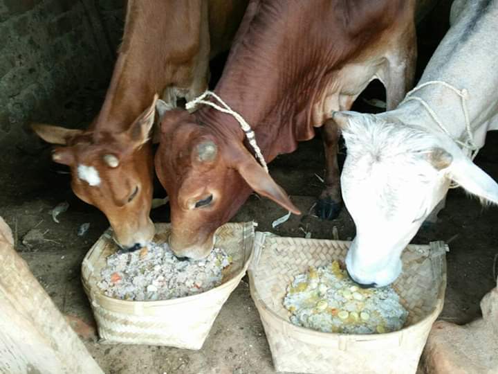 बस्तरिया आदिवासी संस्कृति का हिस्सा नहीं है "दीपावली"