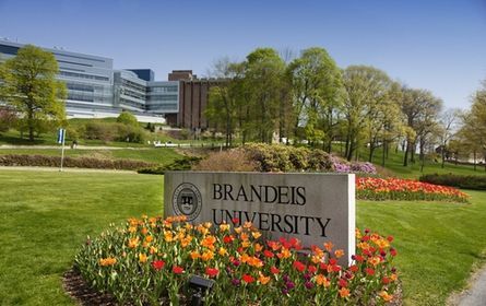 Brandeis becomes first US University to prohibit caste discrimination