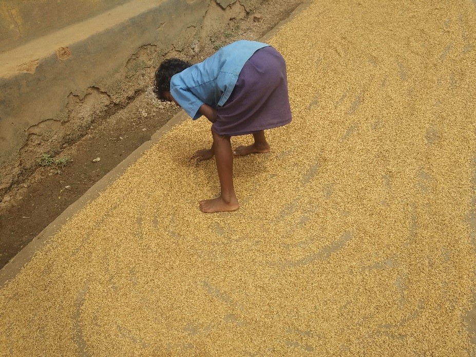 Tracing shadow footprints: Development and lives of Purulia’s Santhal people – Part I