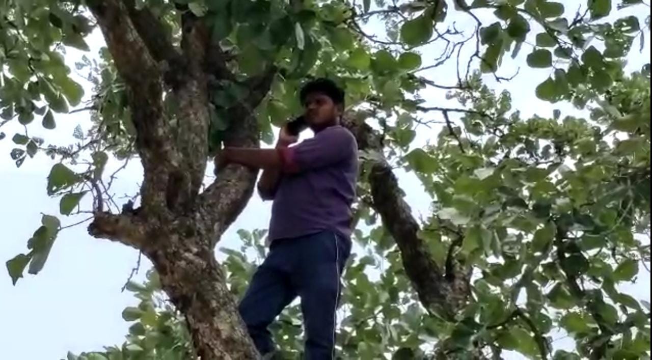डिजिटल इंडिया का सच : उत्तर प्रदेश का एक थाना ऐसा भी जहां नही है मोबाइल नेटवर्क, पेड़ पर चढ़कर करते हैं बात