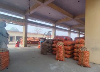 ग्राऊंड रिपोर्ट : अच्छी फसल के बावूजद आलू किसानों में मायूसी, बोले किसान , इनके पास जातियों का डाटा, फसलों का नही ! 