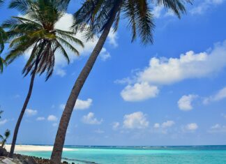 Central Government’s Move to Seize of ‘Pandaram’ Land Ignites Fear and Tension in Lakshadweep