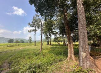 Godna’s Decline: The Baiga Tribe’s Struggle to Preserve a Vanishing Tradition in a Modern World