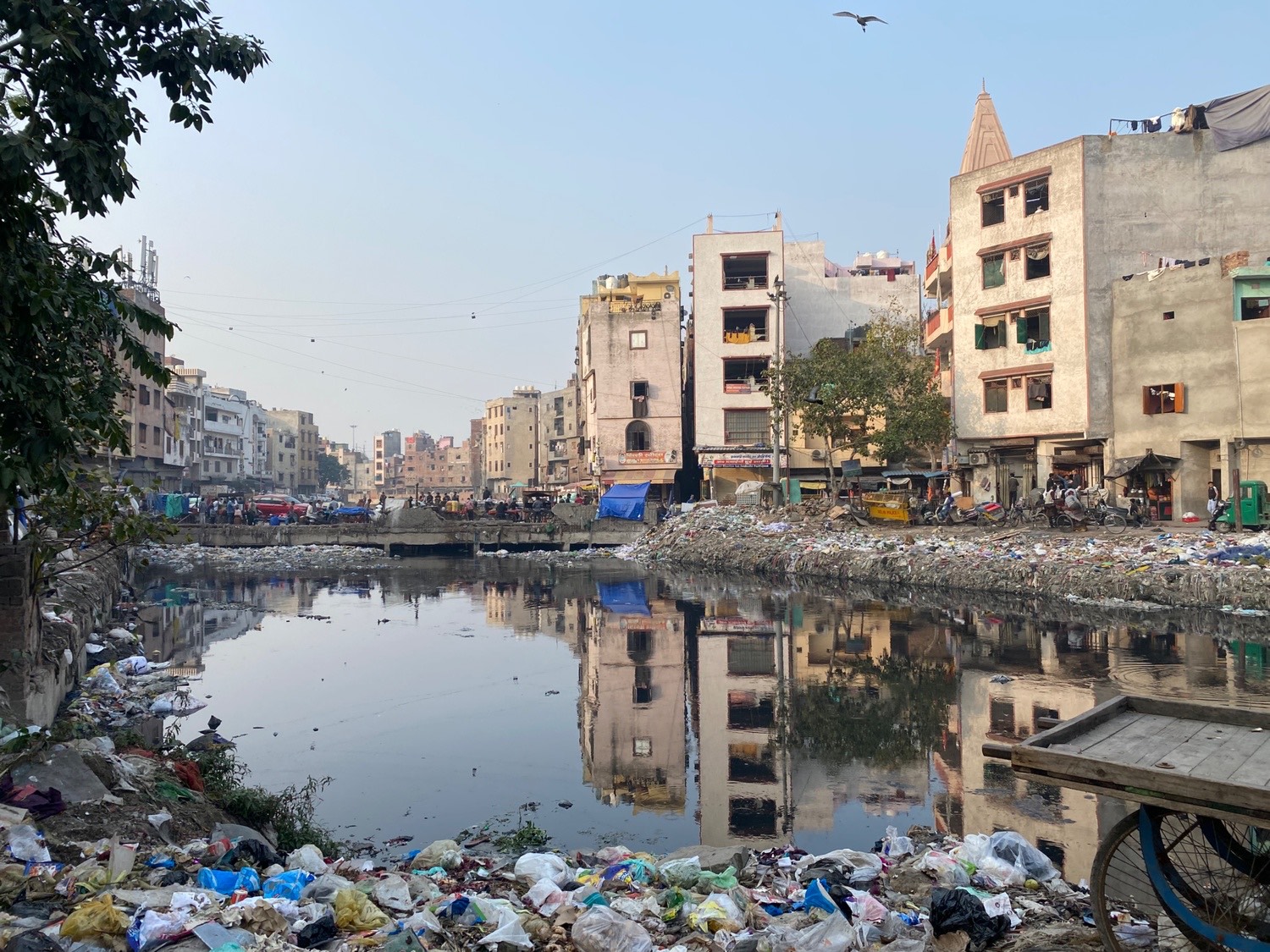 Delhi Elections 2025: The Forgotten Trans Yamuna Region Battling Absence of Clean Water, Sanitation and Basic Amenities