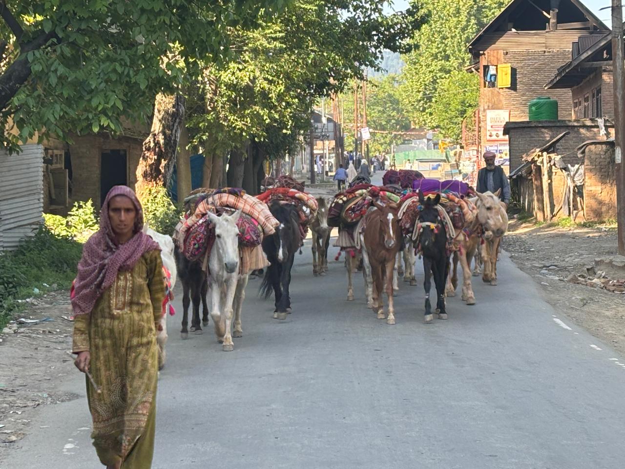 'No Grass, No Growth, No Eid': Stuck in Lowlands Since Pahalgam Attack, Bakarwal Herders Face a Crisis