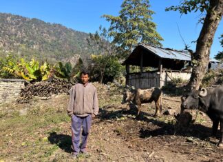 The Great Illusion: How Misframed Adivasi Forest Rights Threaten Culture and Conservation ?