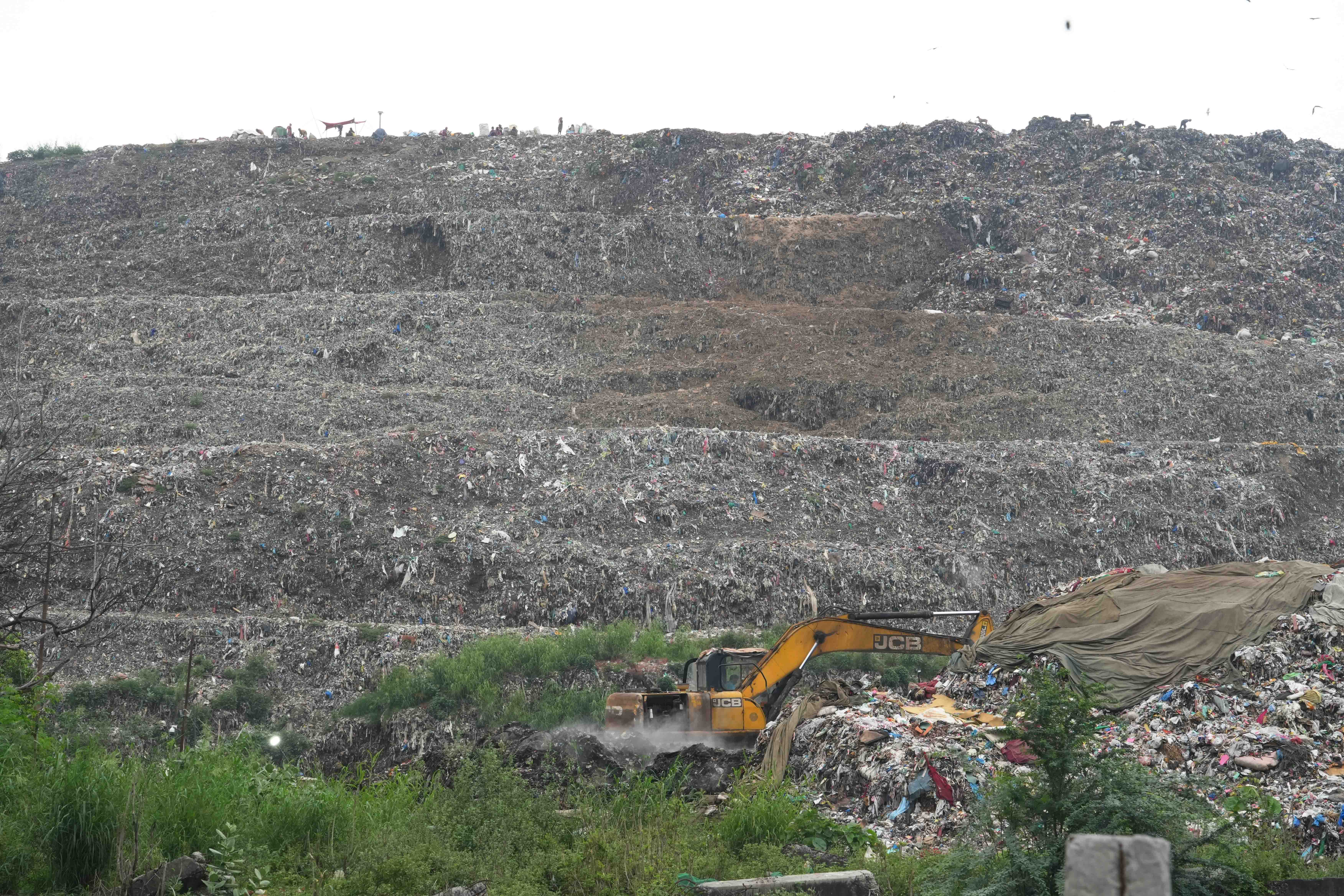 'Sometimes My Chest Burns, But I Still Go Up': The Silent Suffering of Women Who Survive on Delhi’s Garbage Mountains