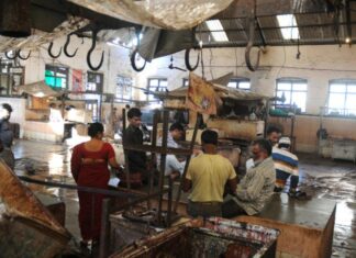 'Hounded' for Legal Livelihood? Why Qureshi Traders Have Shut Down Buffalo Meat Trade in Maharashtra